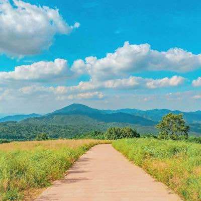 美高梅mgm1888网站