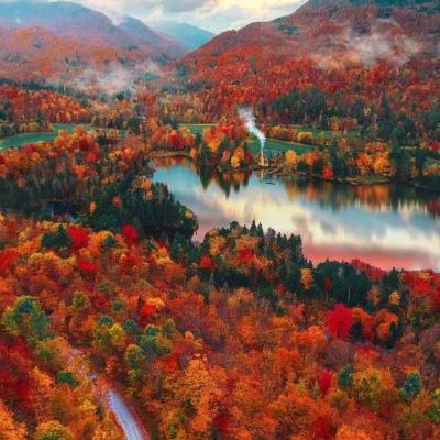 斗牛游戏大厅app下载