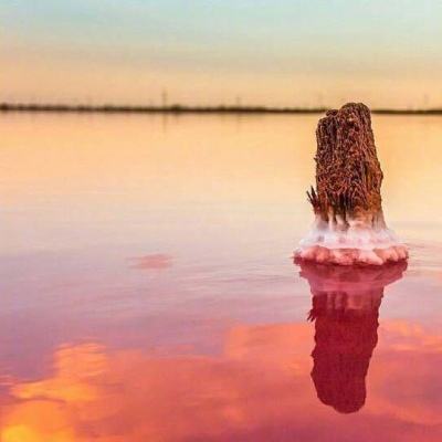 半岛.体育BANDAO SPORTS