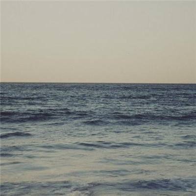 开云体云appapp下载