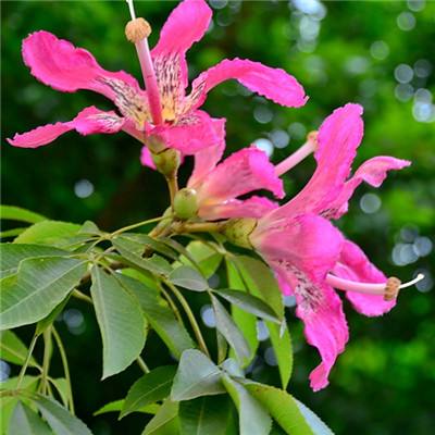 金沙集团9500官网手机app下载