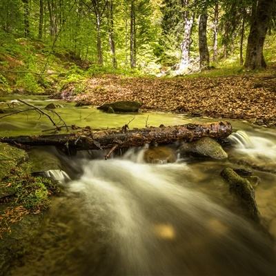 yabo888vip下载手机版截图